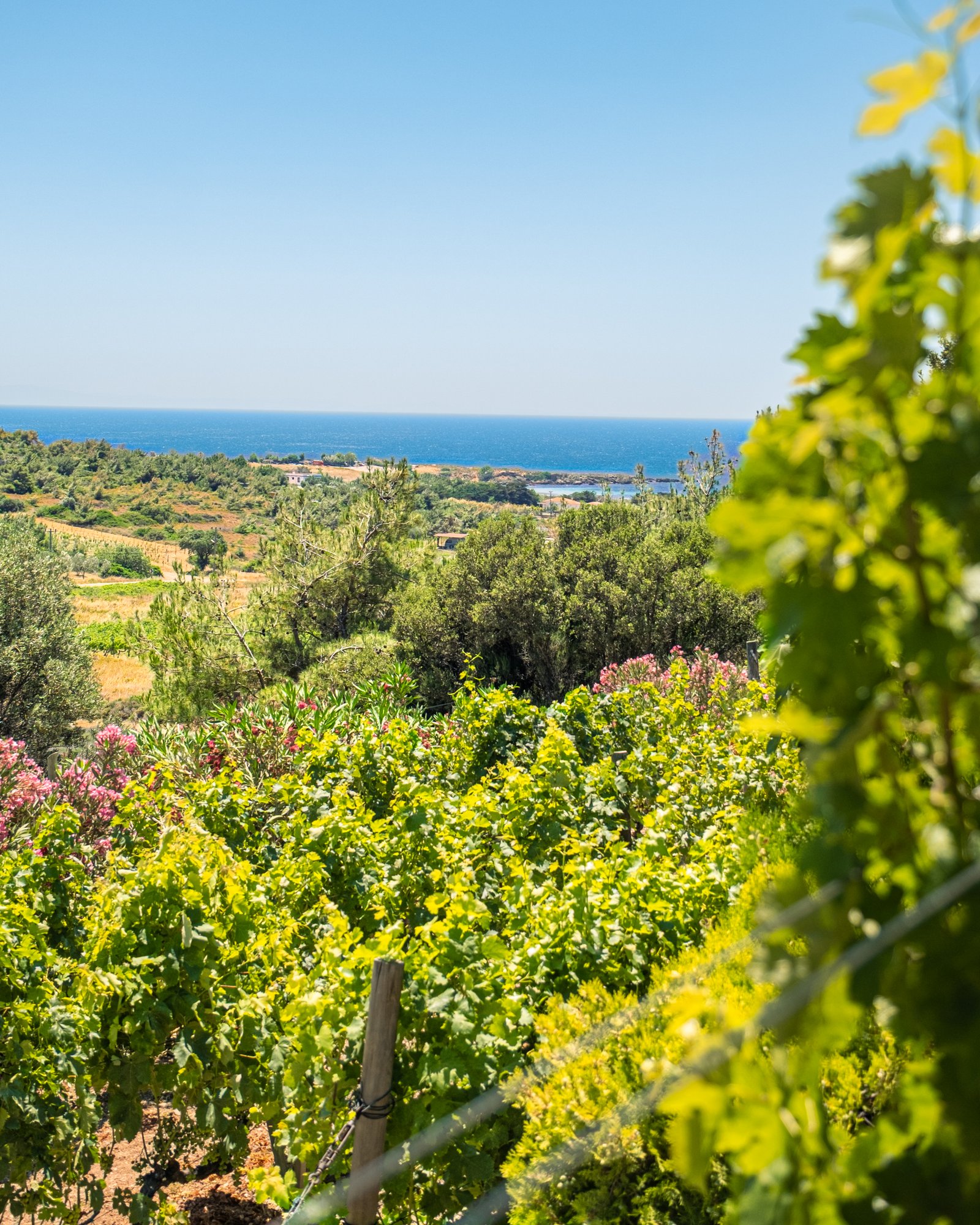 Adabachus Hotel